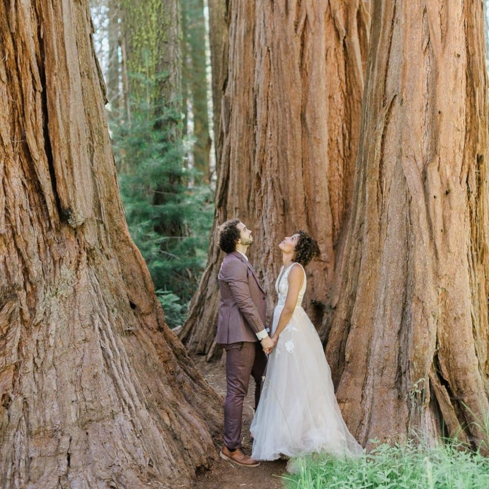 Sequoia Elopement Photo
