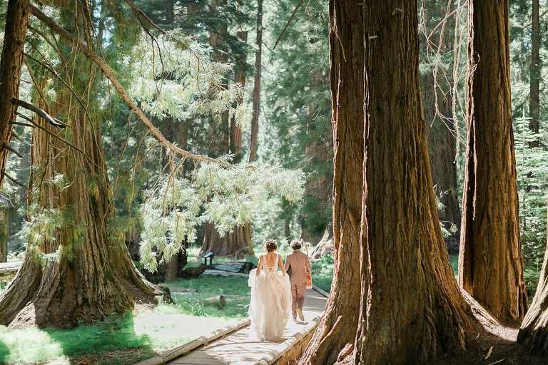 Big Trees Trail elopement wedding photos in Sequoia National Park